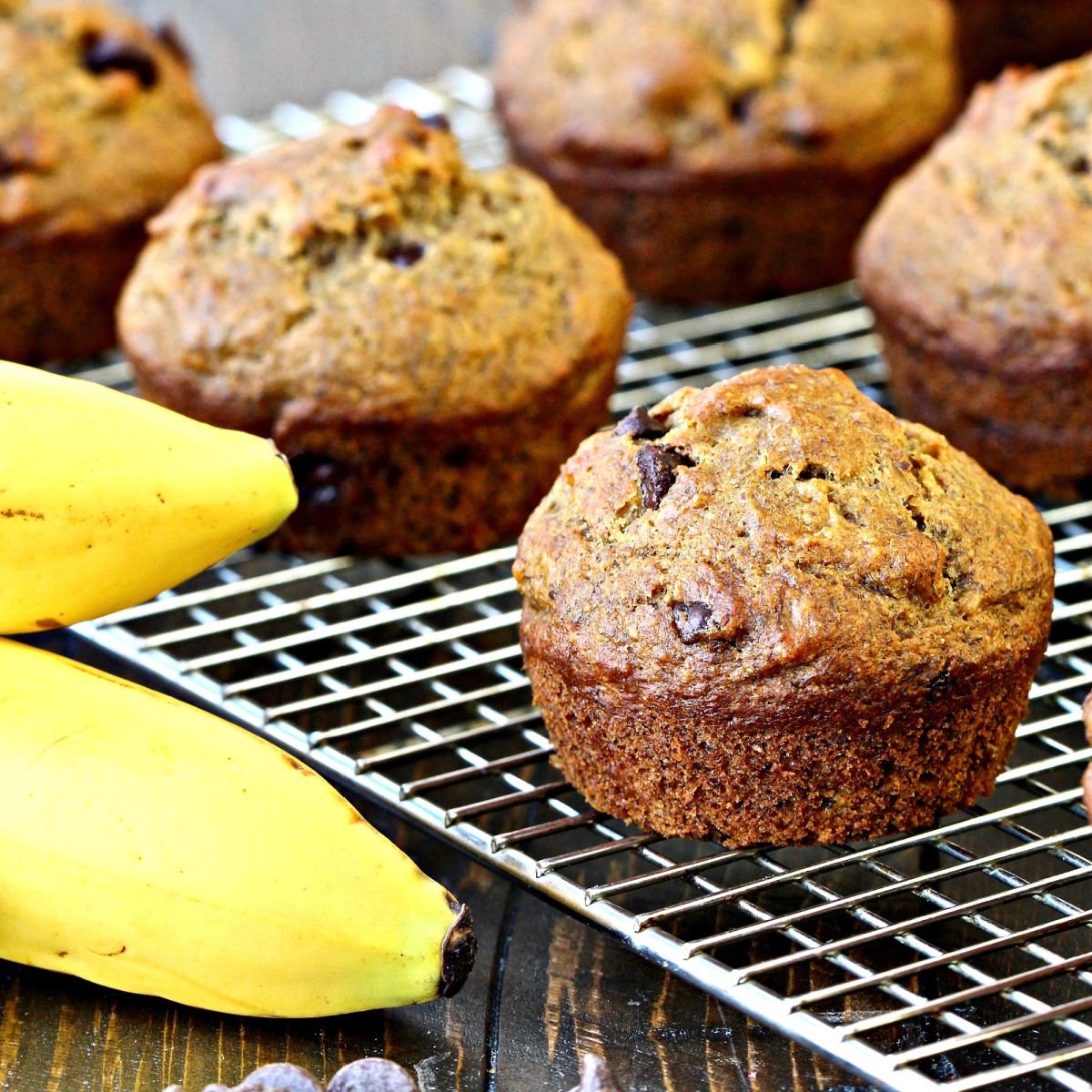 Vegan banana chocolate chip muffins on a wire rack with two bananas on the side.