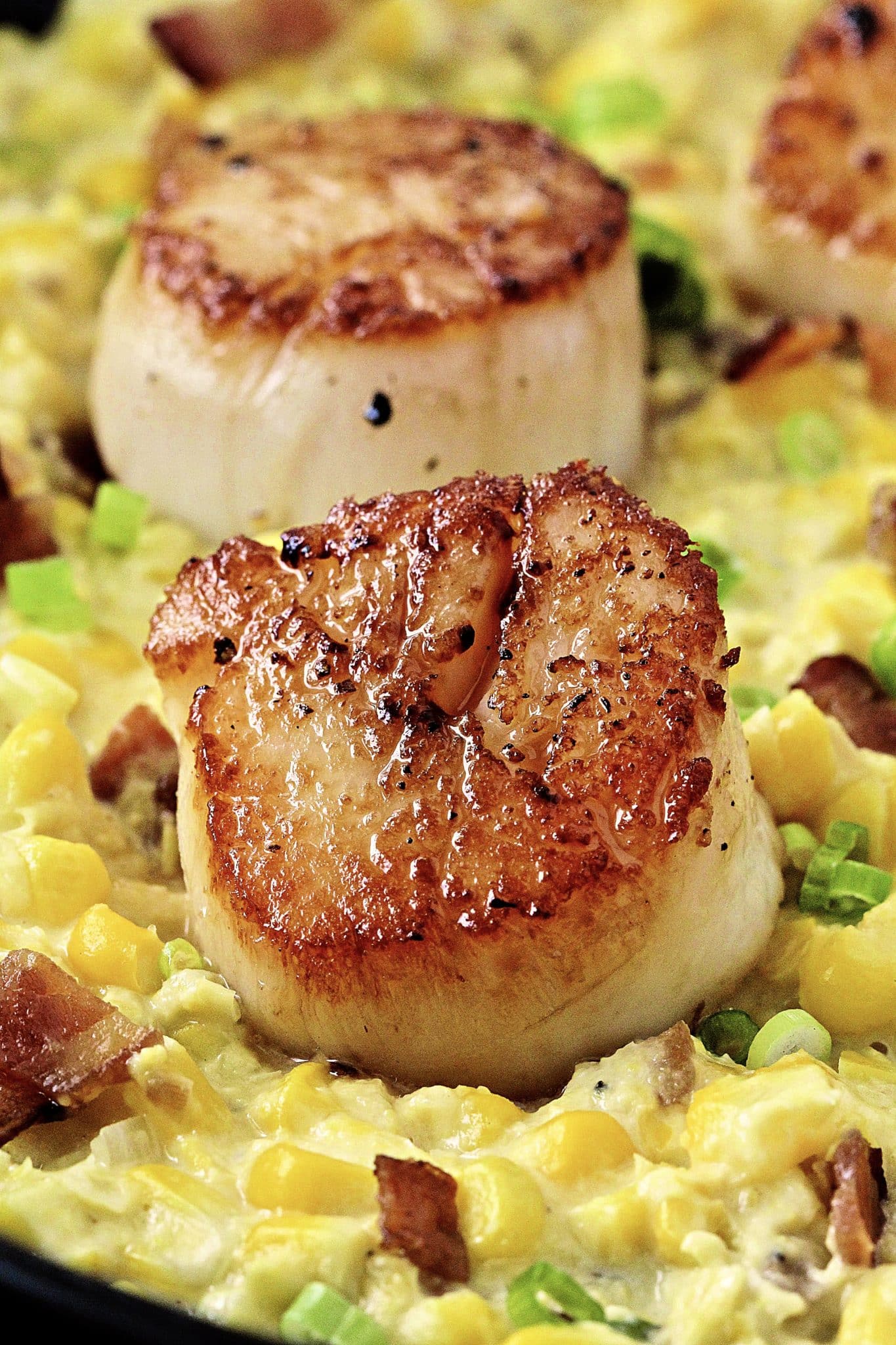 Seared Scallops with Creamy Corn and Bacon