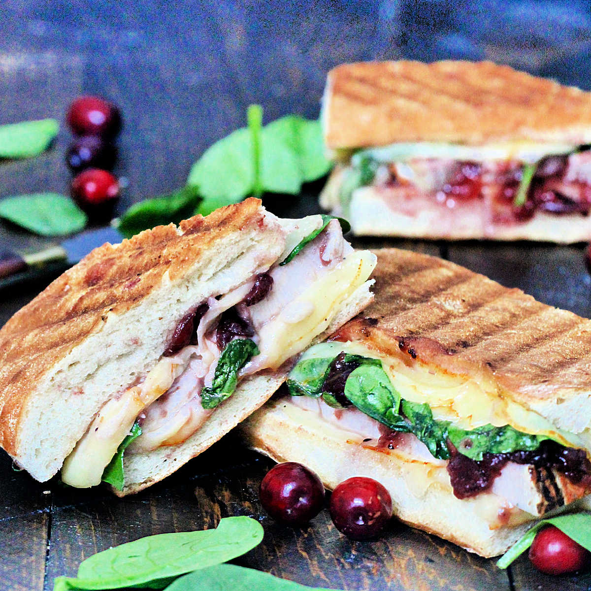 Turkey and Cranberry Panini 