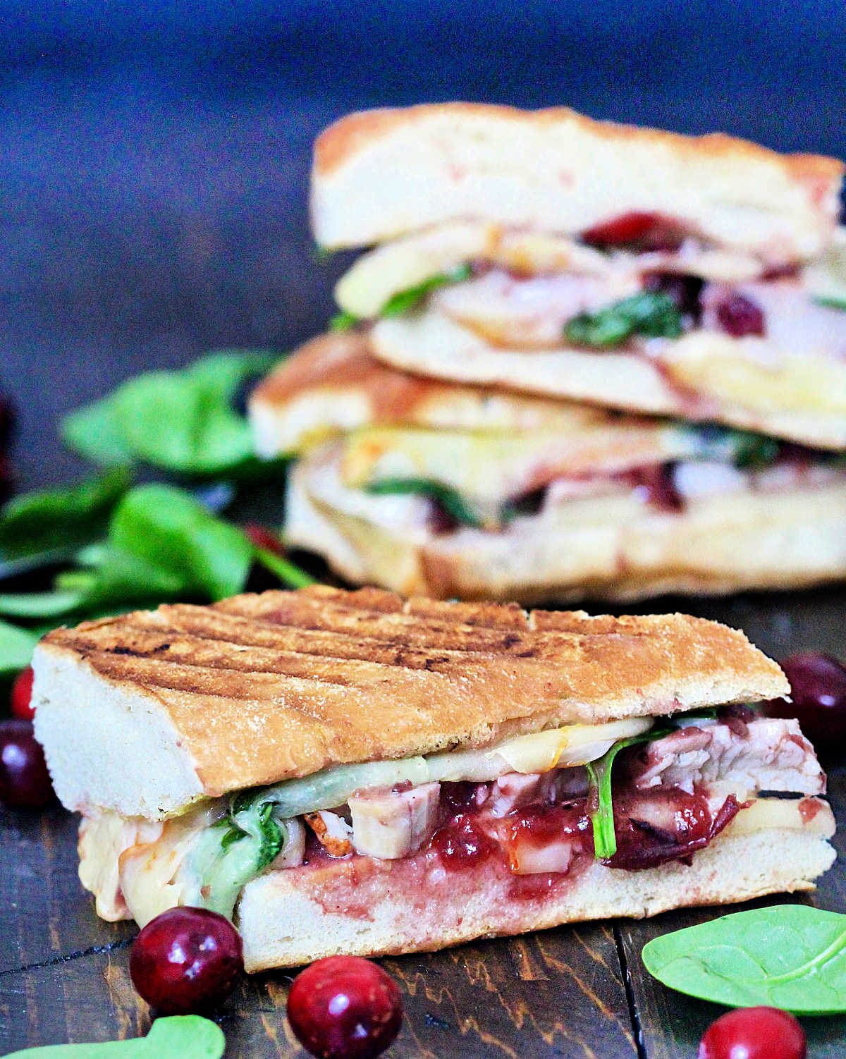 Turkey and Cranberry Panini
