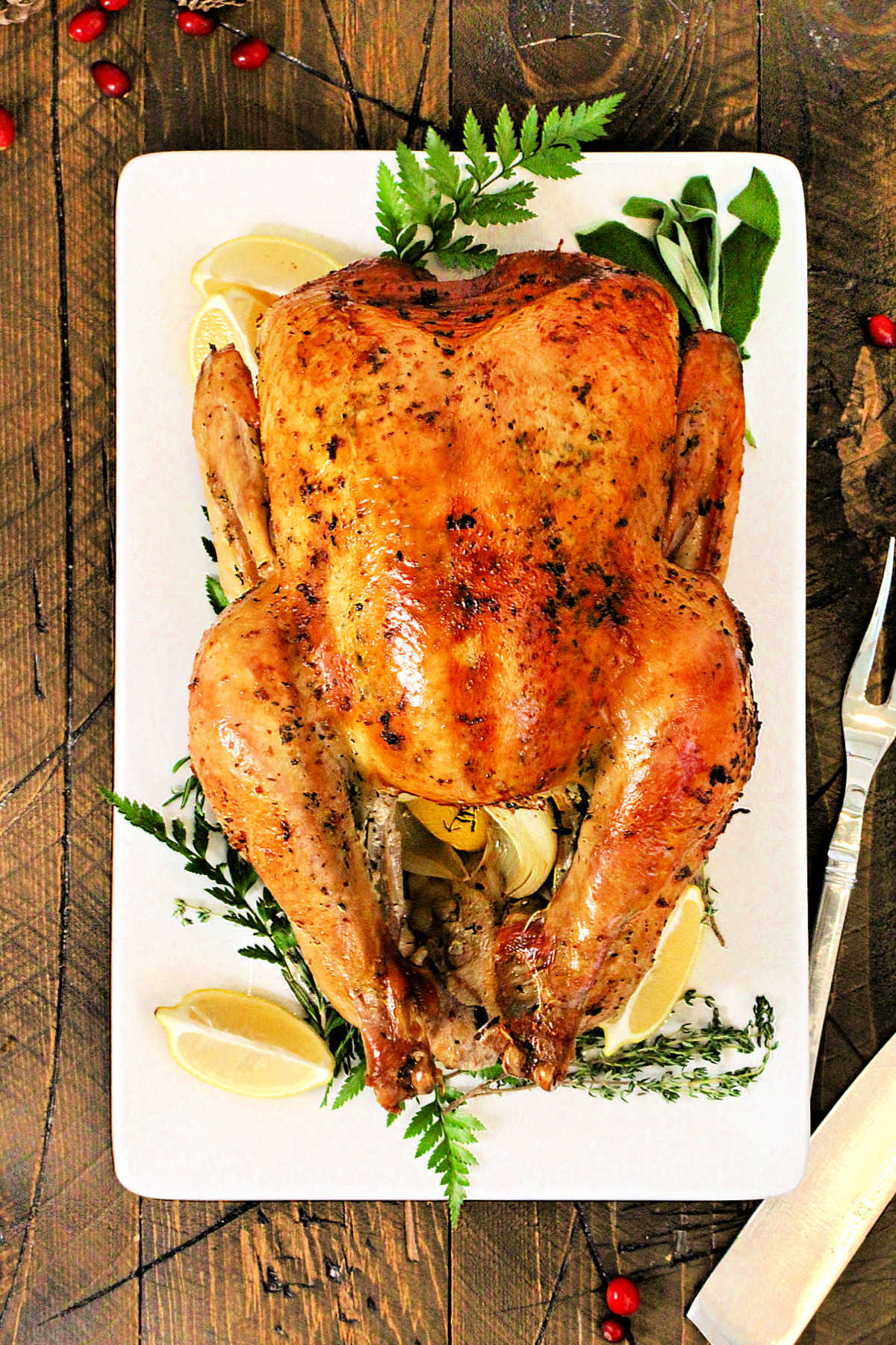 A holiday turkey on a white platter with rosemary and lemons around it