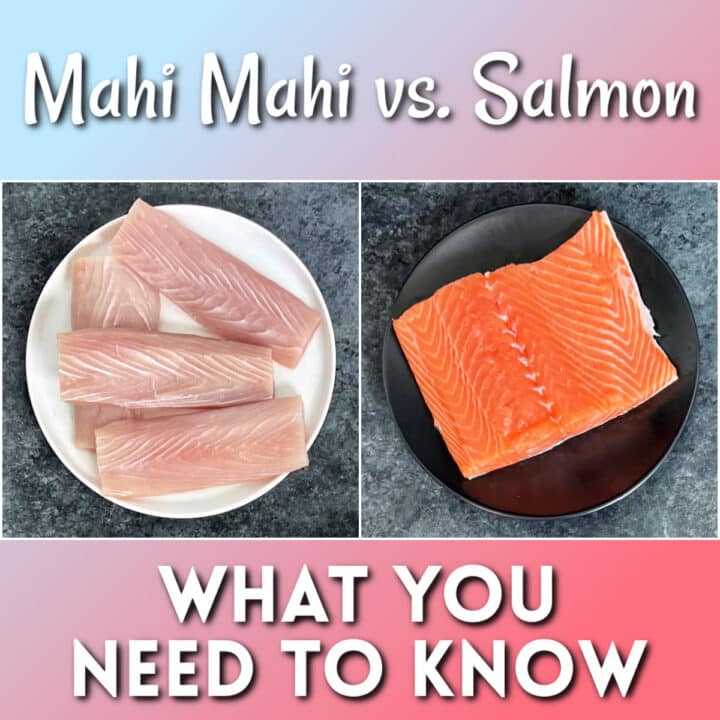 Pictures of mahi mahi and salmon filets on plates with the words "Mahi Mahi vs. Salmon- What You Need to Know"